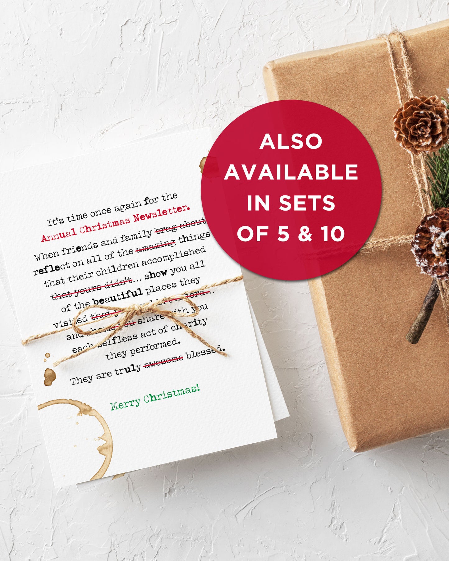 Humorous Christmas Newsletter Christmas Card Sets of 5 or 10