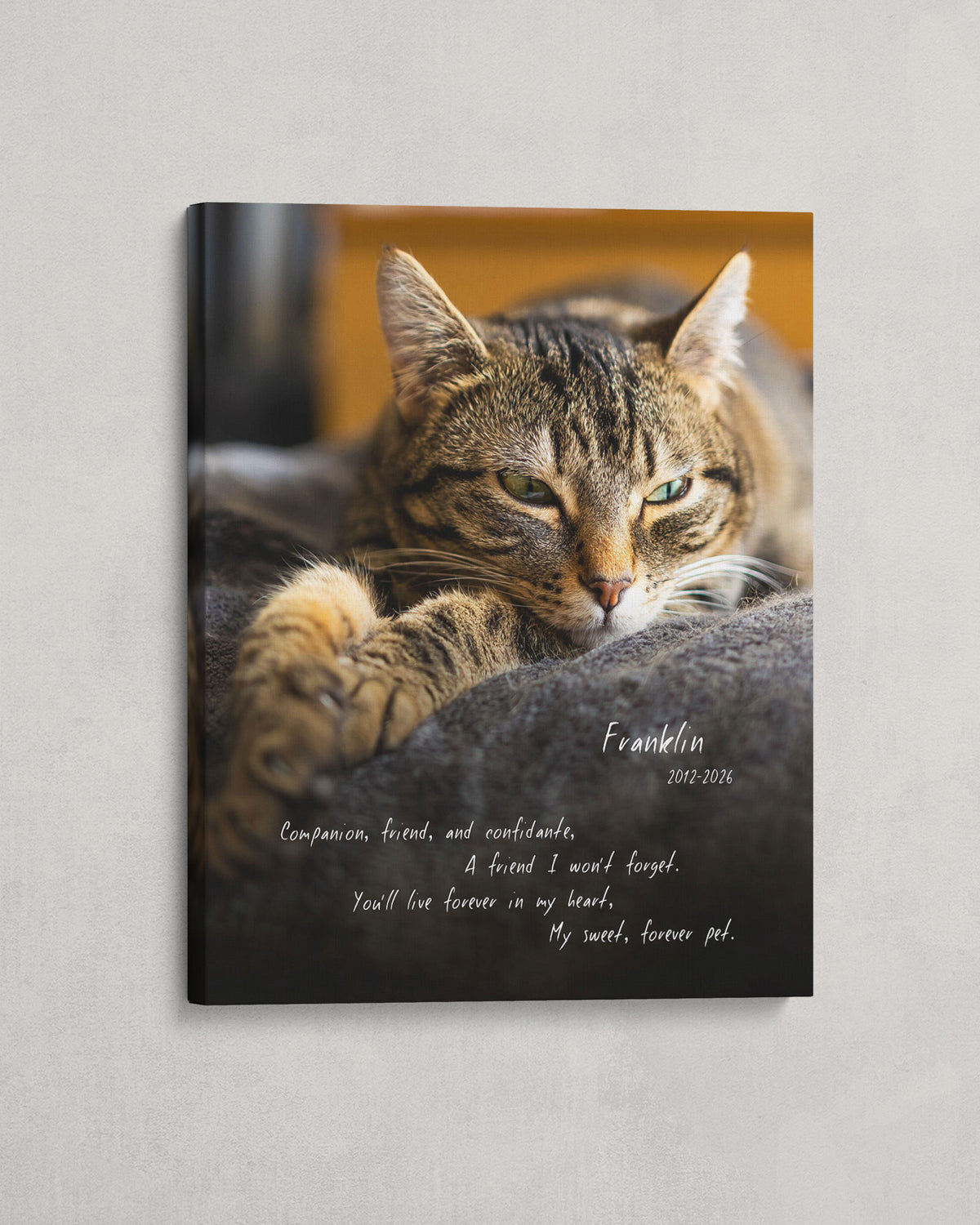Custom cat memorial photo canvas with name, dates and remembrance text