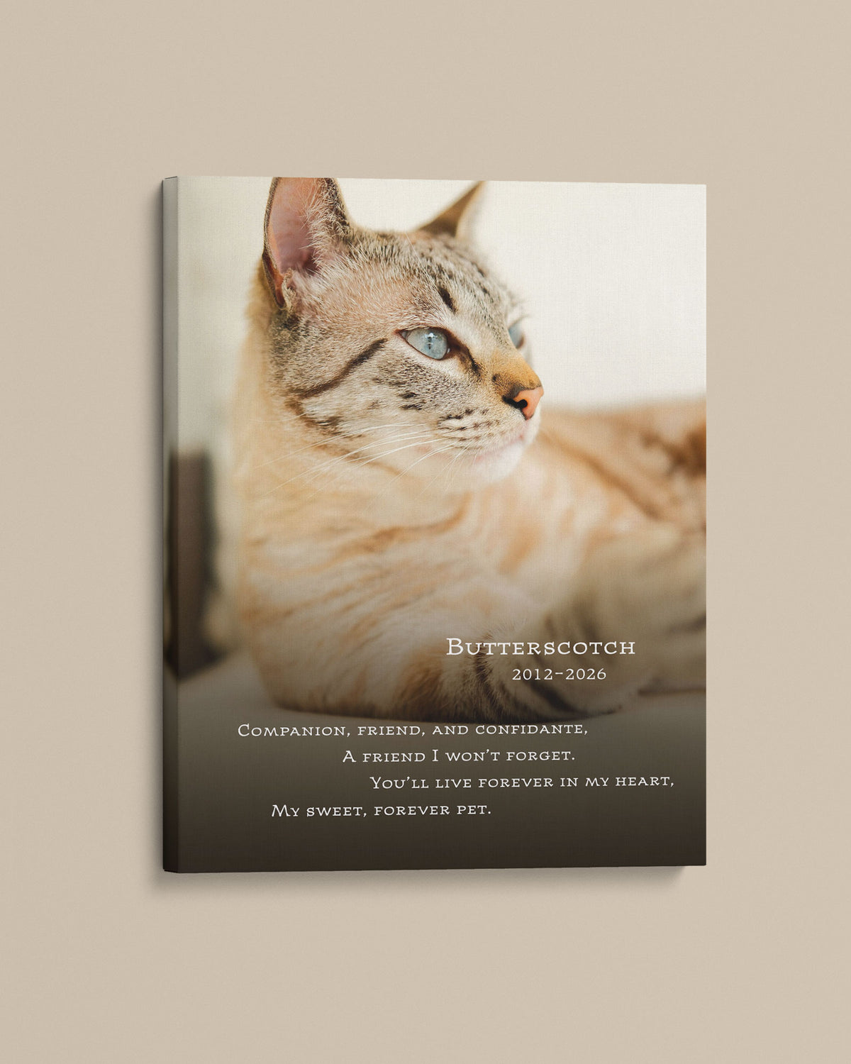 Personalized cat memorial photo canvas with name, dates and remembrance text