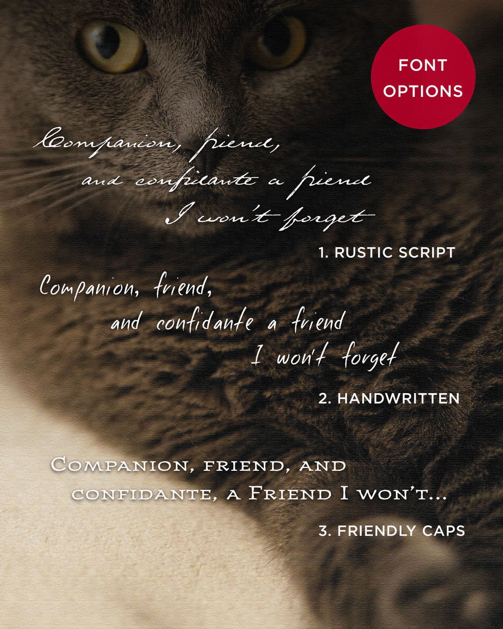 custom pet portrait font options
