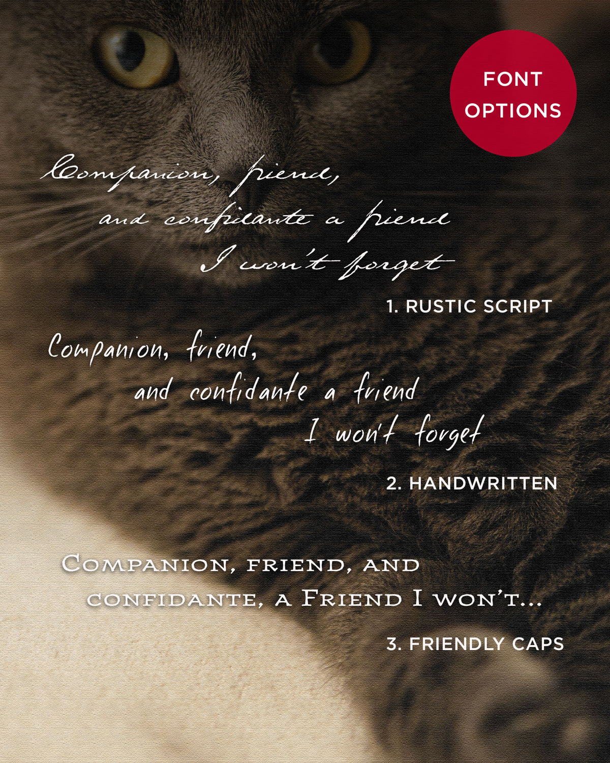custom pet portrait font options