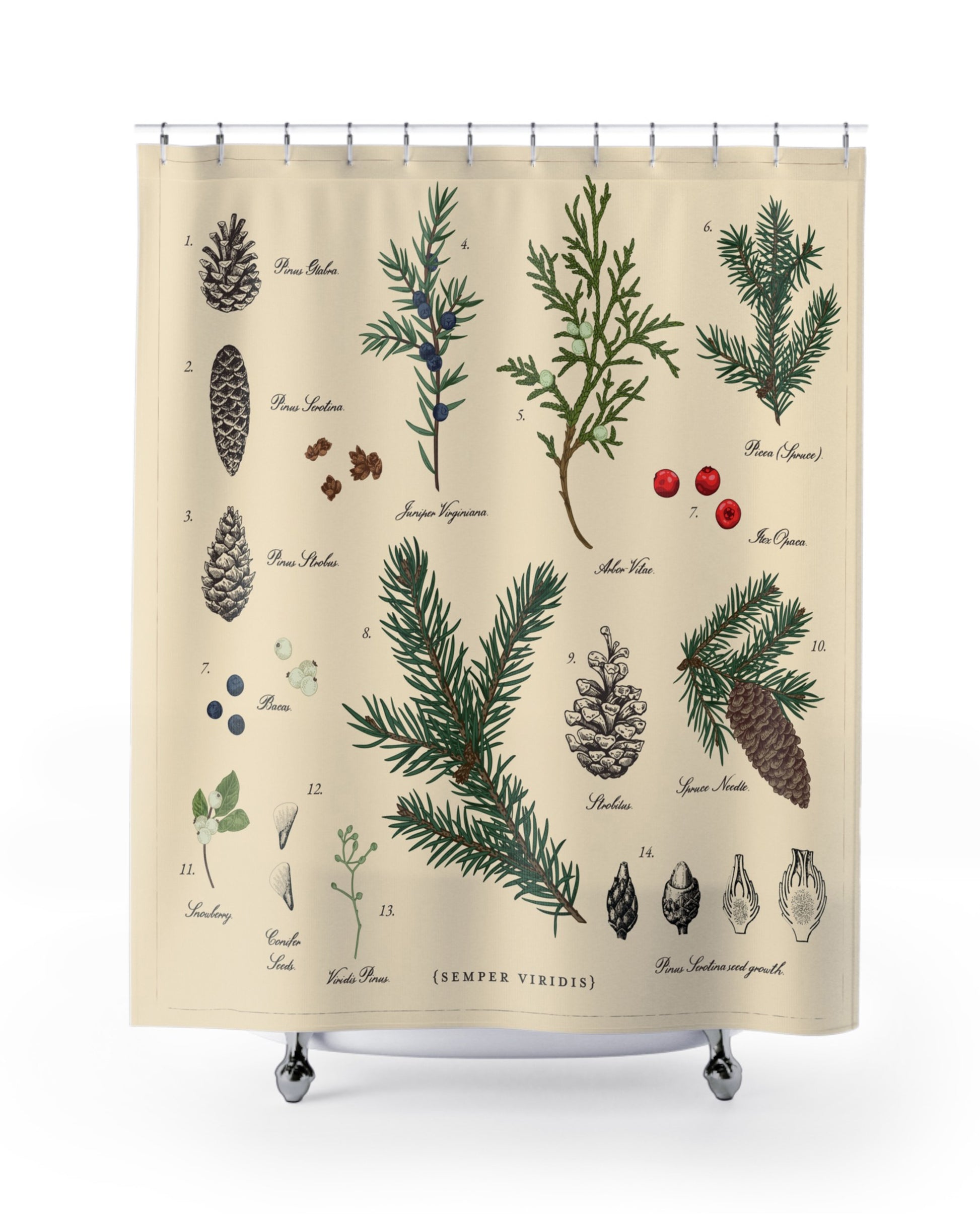 Pine Botanical Print - Christmas Shower Curtain-1