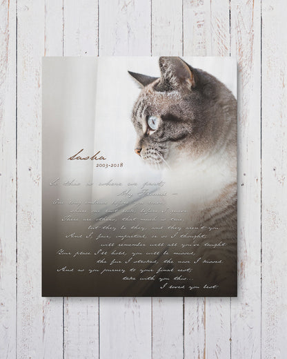 Personalized Cat Memorial Photo by Transit Design.