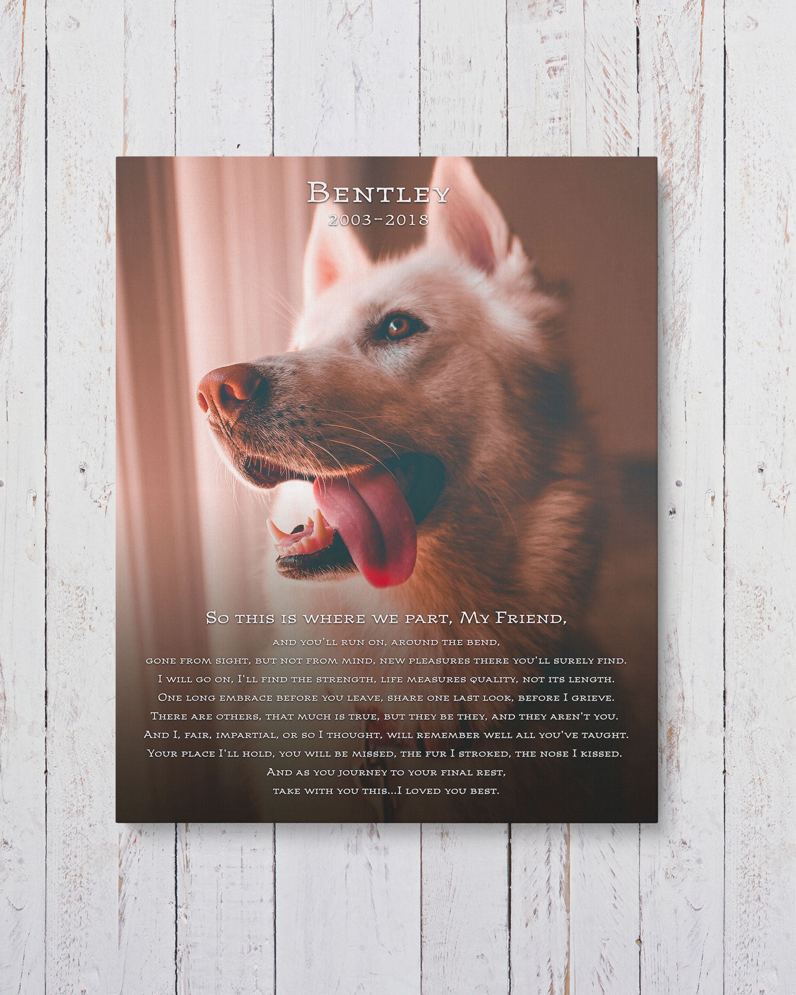 Personalized Dog Memorial Photo by Transit Design.