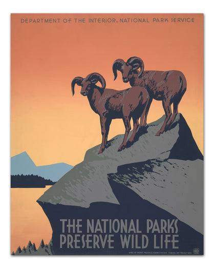 National Parks Big Horn Sheep WPA Poster - Transit Design